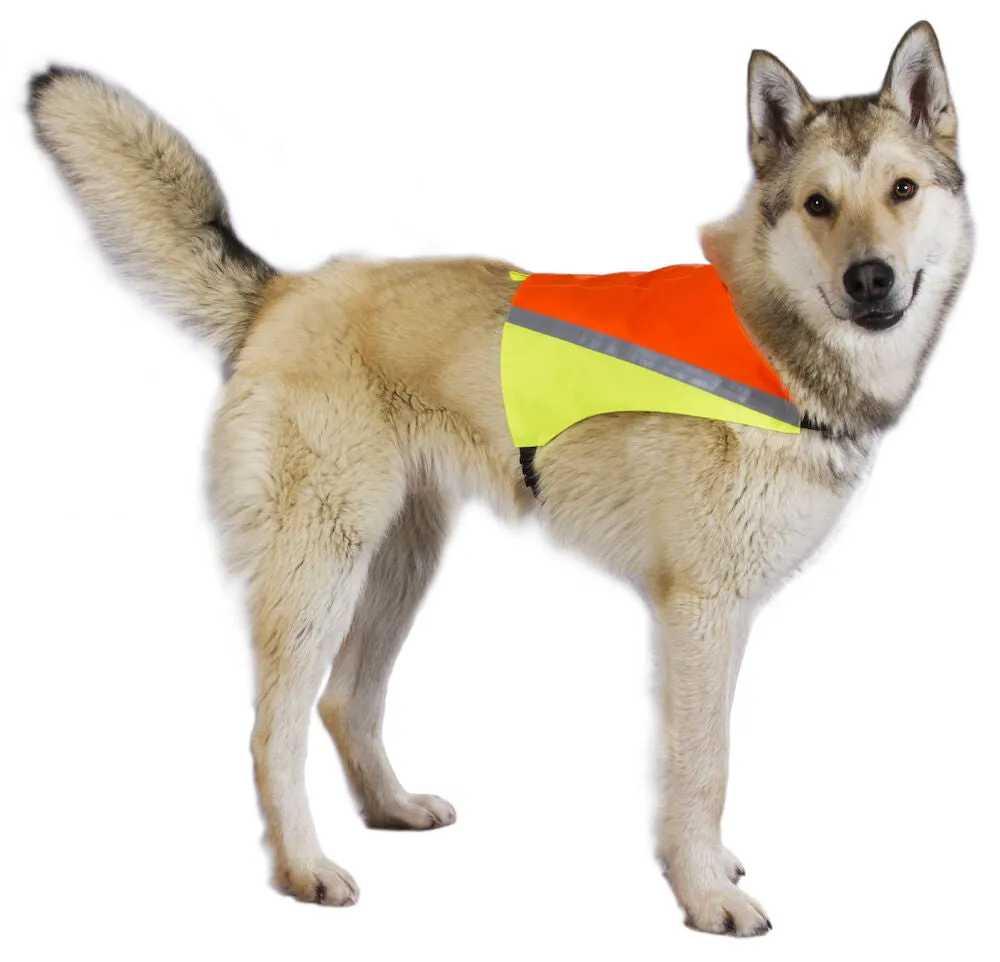 Best Friend dog high visibility vest