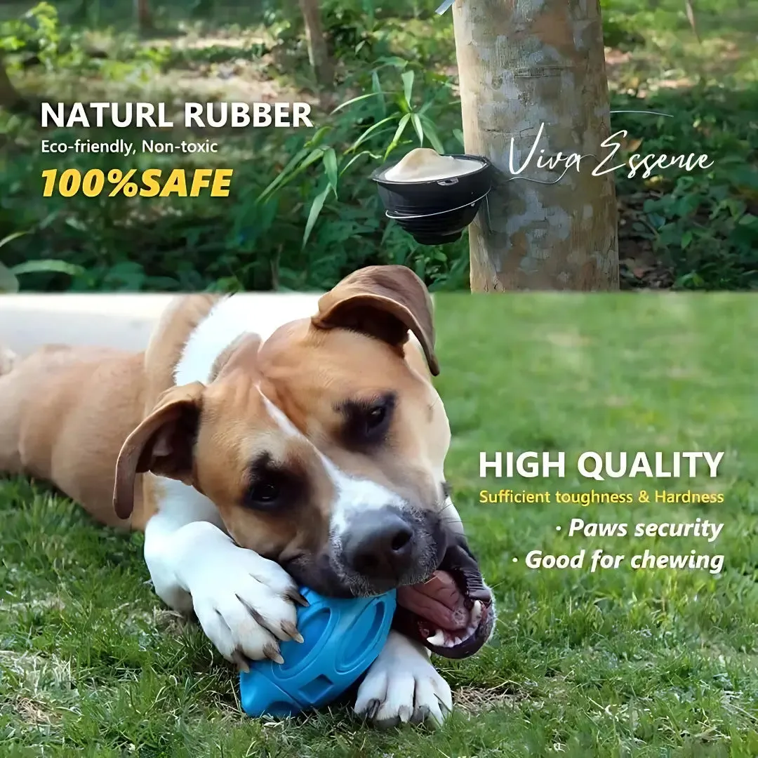 Durable Squeaky Dog Toy for Aggressive Chewers