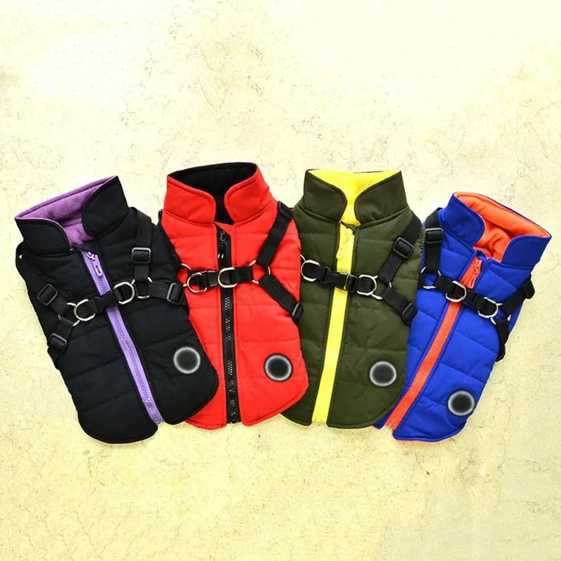 Pat and Pet Emporium | Pet Clothing | Waterproof Pet Harness