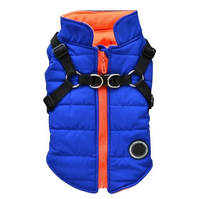 Pat and Pet Emporium | Pet Clothing | Waterproof Pet Harness