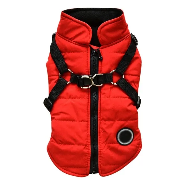 Pat and Pet Emporium | Pet Clothing | Waterproof Pet Harness