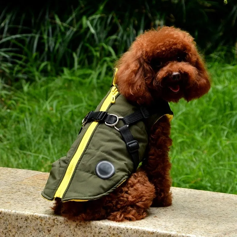 Pat and Pet Emporium | Pet Clothing | Waterproof Pet Harness