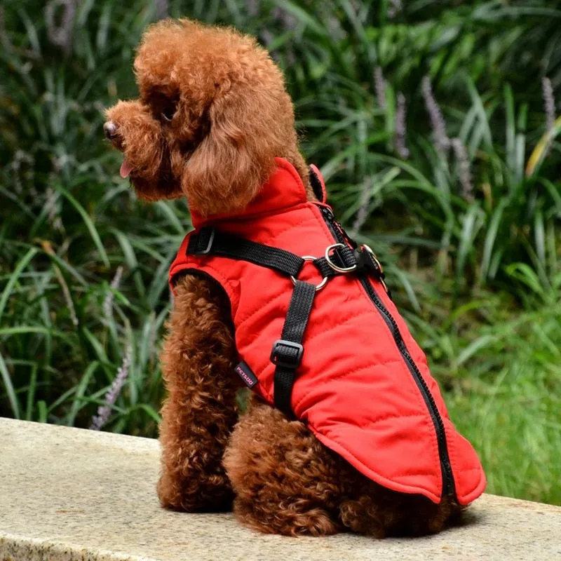 Pat and Pet Emporium | Pet Clothing | Waterproof Pet Harness