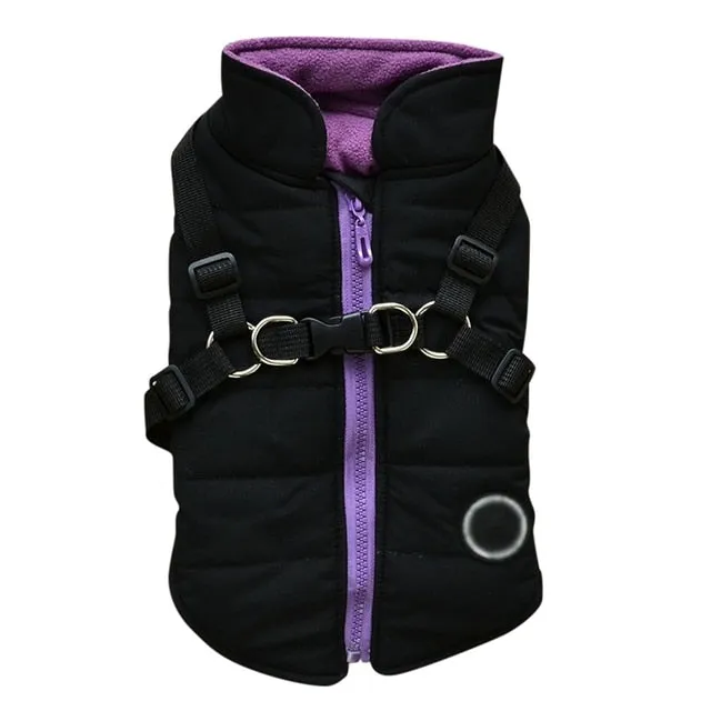 Pat and Pet Emporium | Pet Clothing | Waterproof Pet Harness