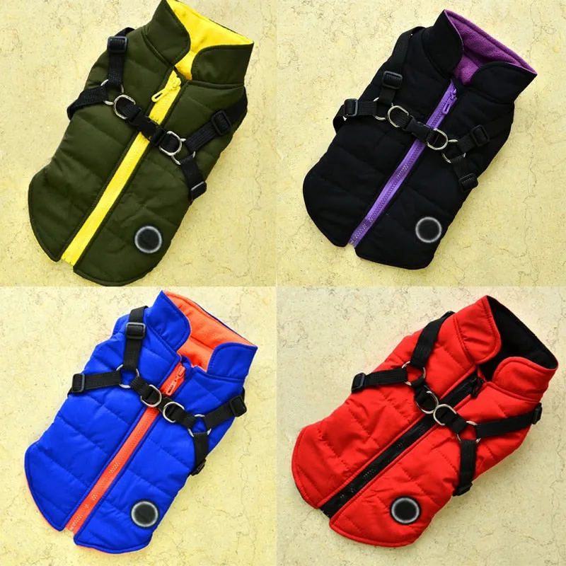 Pat and Pet Emporium | Pet Clothing | Waterproof Pet Harness